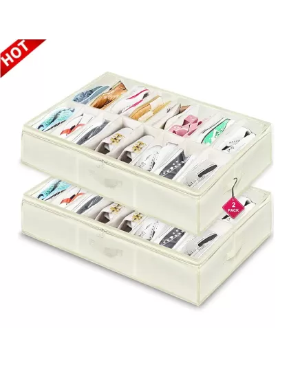 Large Collapsible Shoe Box With Clear Lid